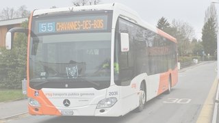 Changements d’horaires des lignes de bus tpg 50, 54 et 55