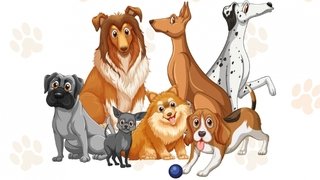 Un guide indispensable pour tous les propriétaires de chiens