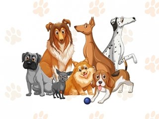 Un guide indispensable pour tous les propriétaires de chiens